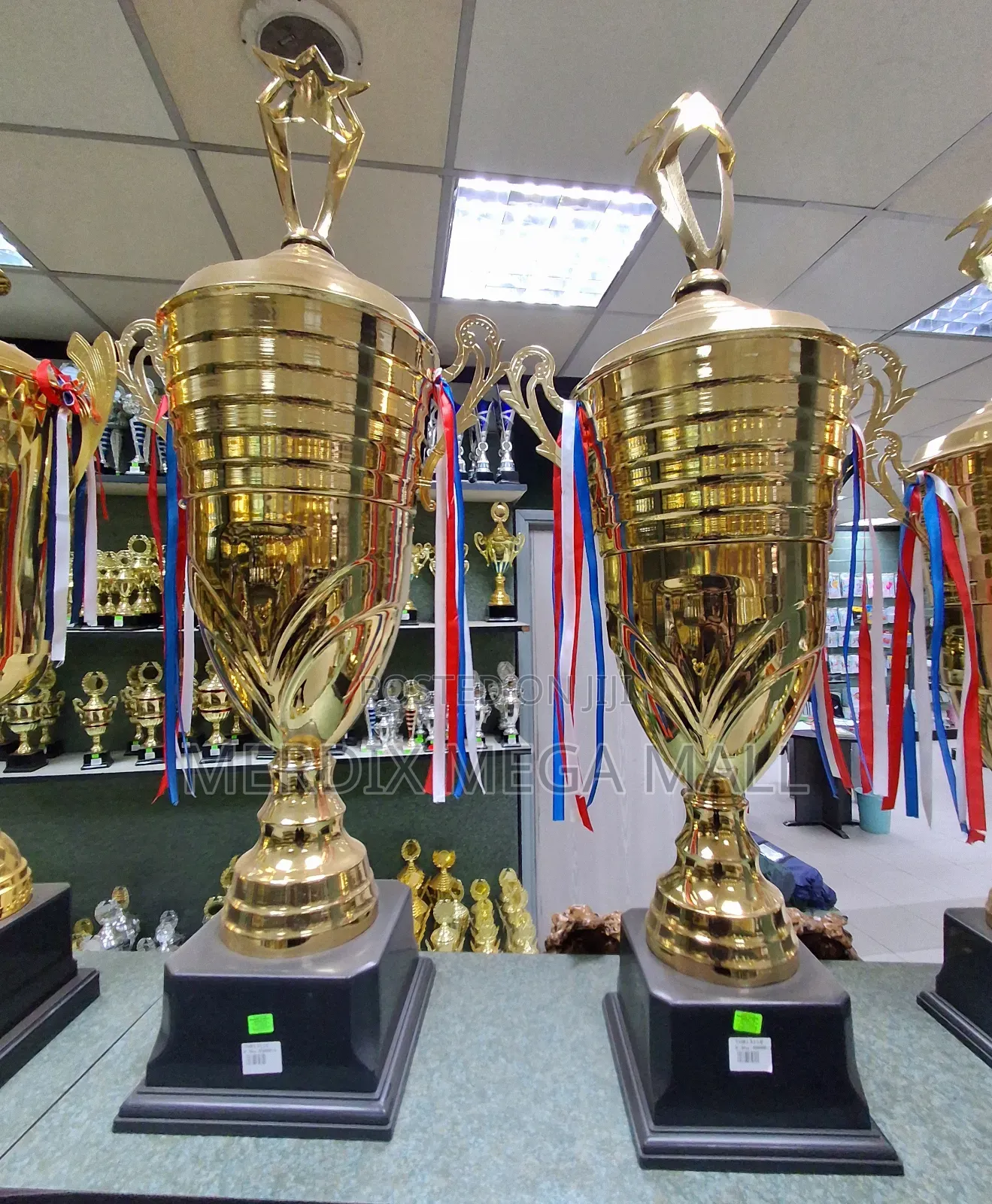 Mmm01ms0,Trophies, Trophy, Trophies