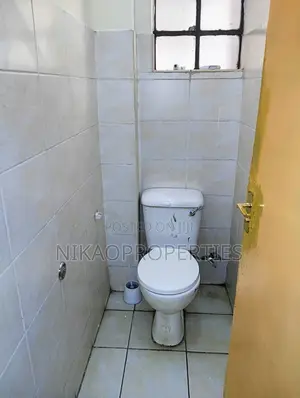 2bdrm Apartment in Pangani Metro for rent