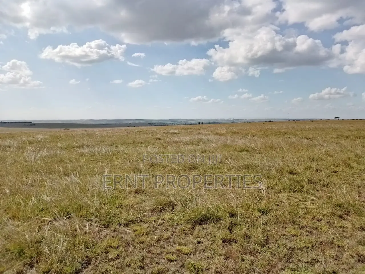 Subdivision Goldmine: 3 Acres in Kinanie Kwambo | Near Leather Park!