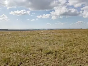 Subdivision Goldmine: 3 Acres in Kinanie Kwambo | Near Leather Park!
