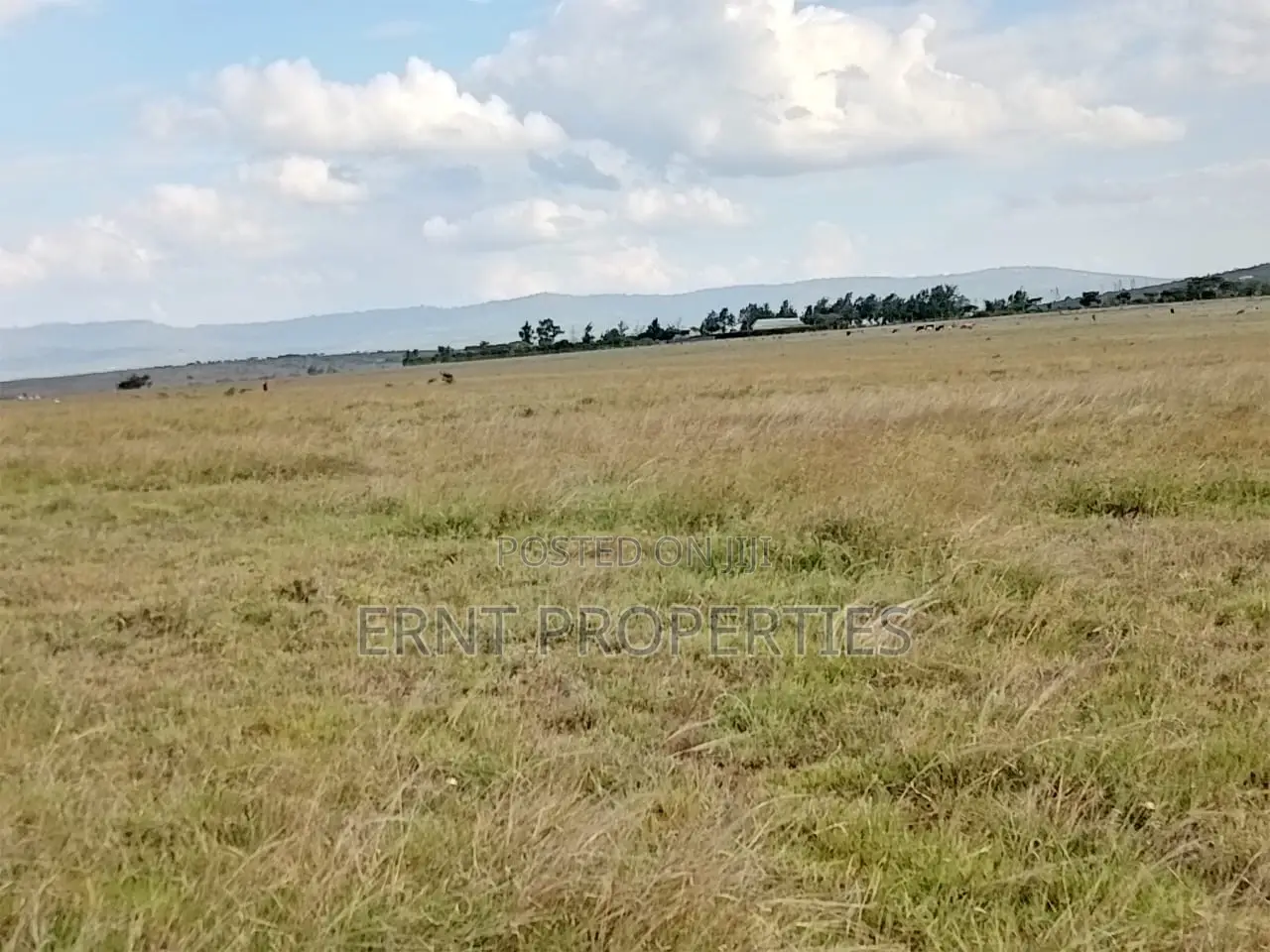 Subdivision Goldmine: 3 Acres in Kinanie Kwambo | Near Leather Park!