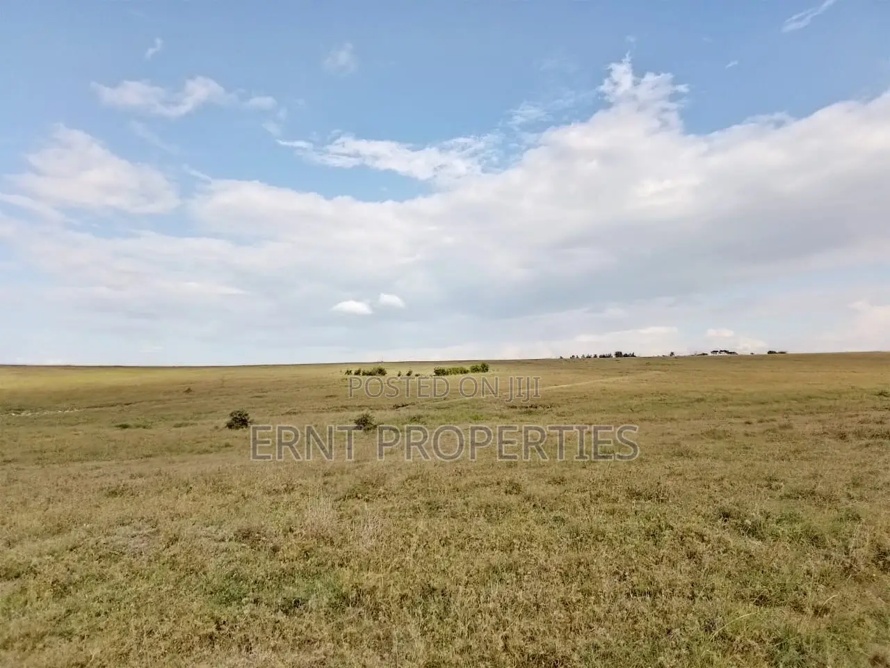 Subdivision Goldmine: 3 Acres in Kinanie Kwambo | Near Leather Park!