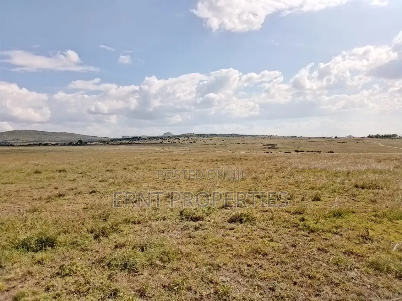 Subdivision Goldmine: 3 Acres in Kinanie Kwambo | Near Leather Park!