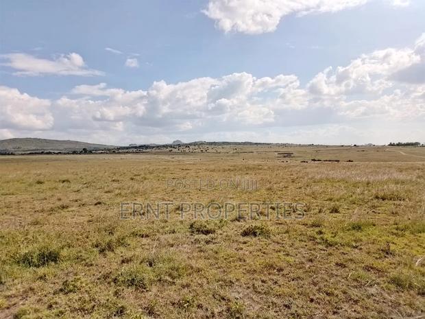 3 Acres in Kinanie Kwamboo - thumbnail 8
