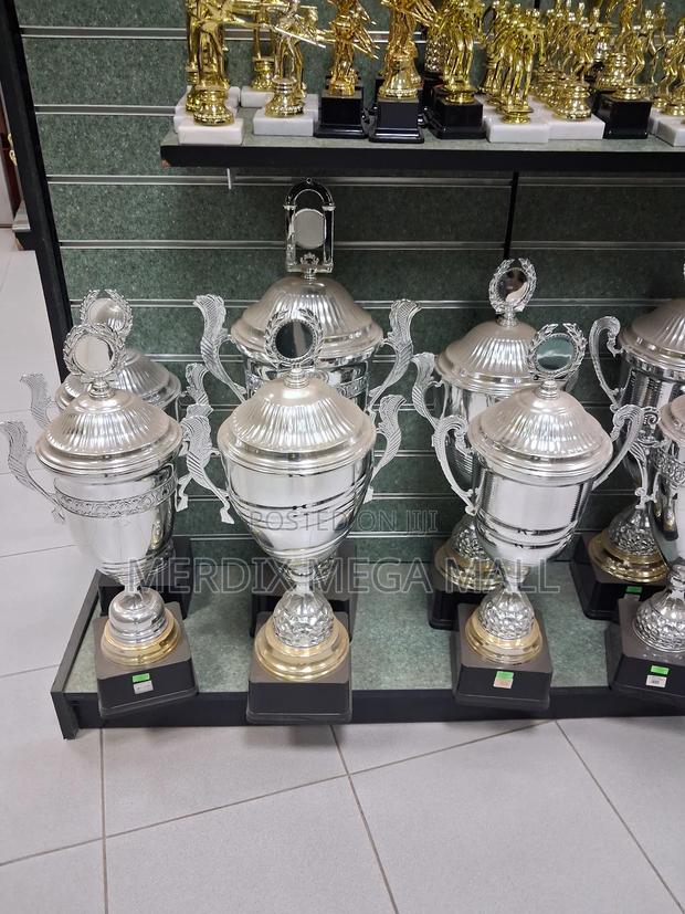 Ms01ms12,Silver Trophies, Trophy - main view