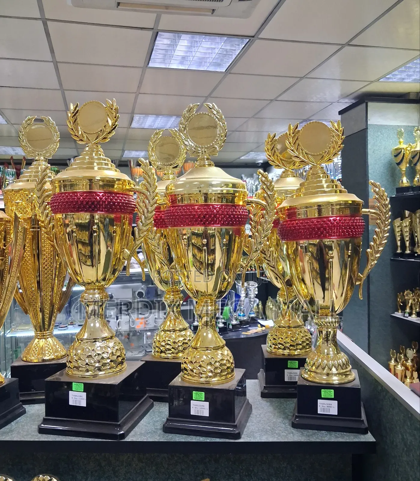 Golden Red Trophies, Trophy, Trophies