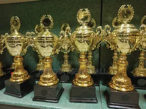 Ms01m14,Trophies, Trophy