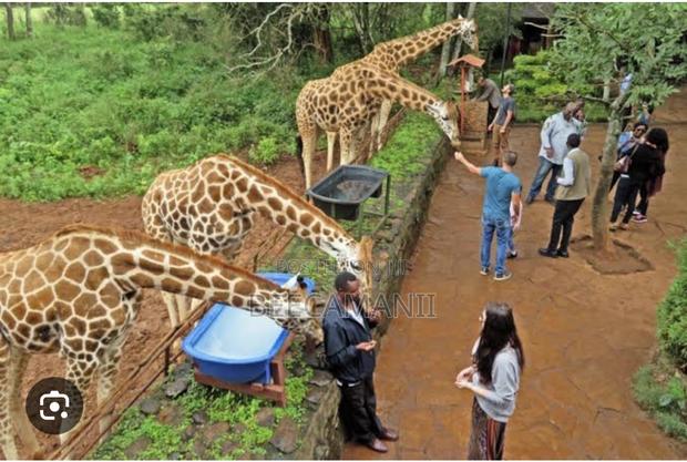 Cozy Apartment With Free Wifi, Parking and Security Located-Kilimani - thumbnail 21