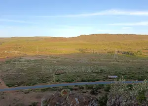 Plot for Sale Nachu