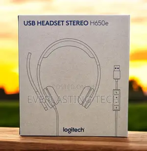 Logitech H650e Stereo Usb Headset (981-000519)