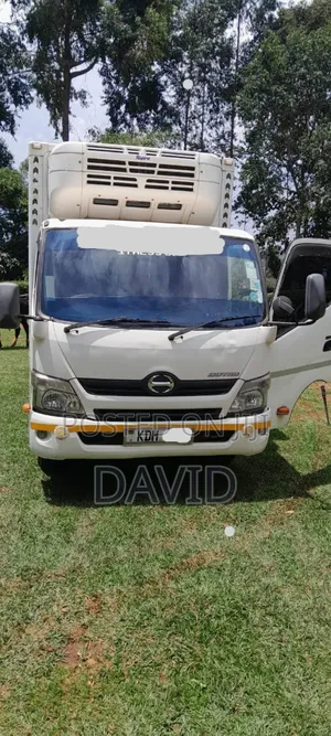 Refregirated Hino Dutro 2015