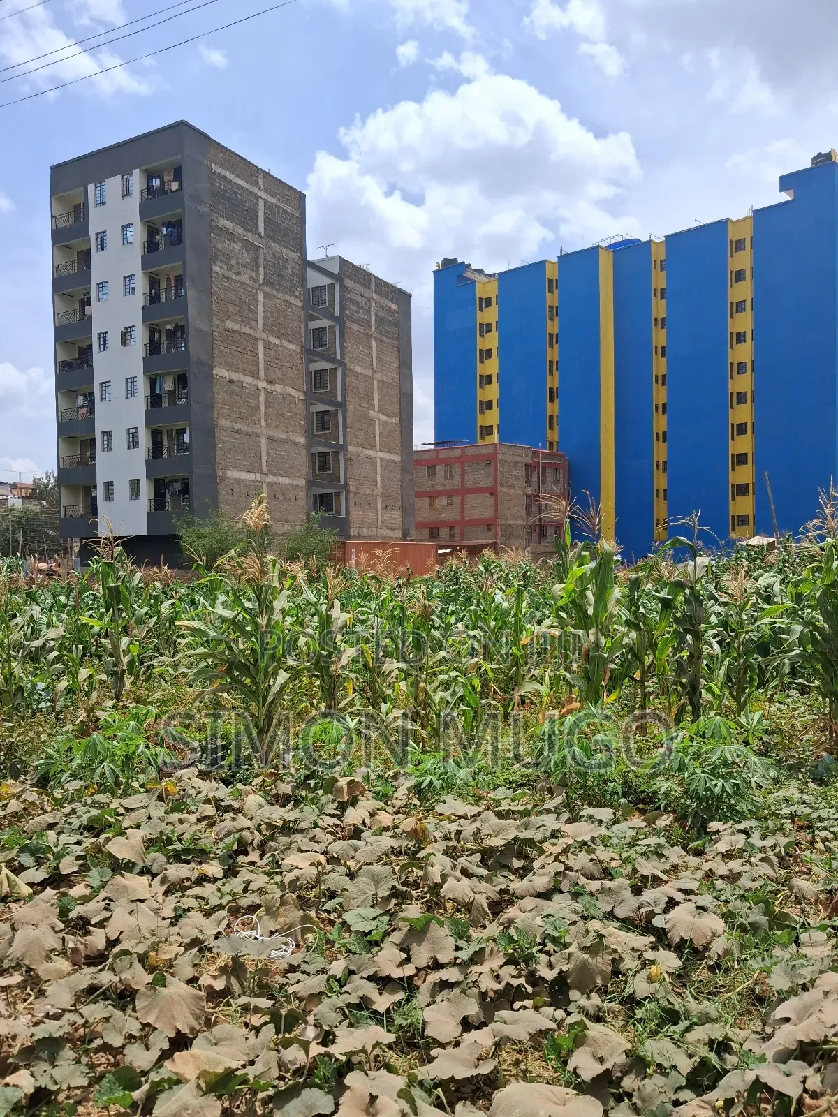Kasarani Clay Works Prime 2 Adjoined Commercial Plot Ready Title