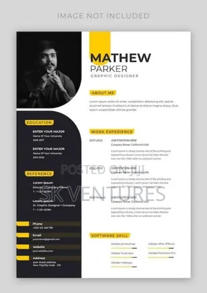 Professional Resume