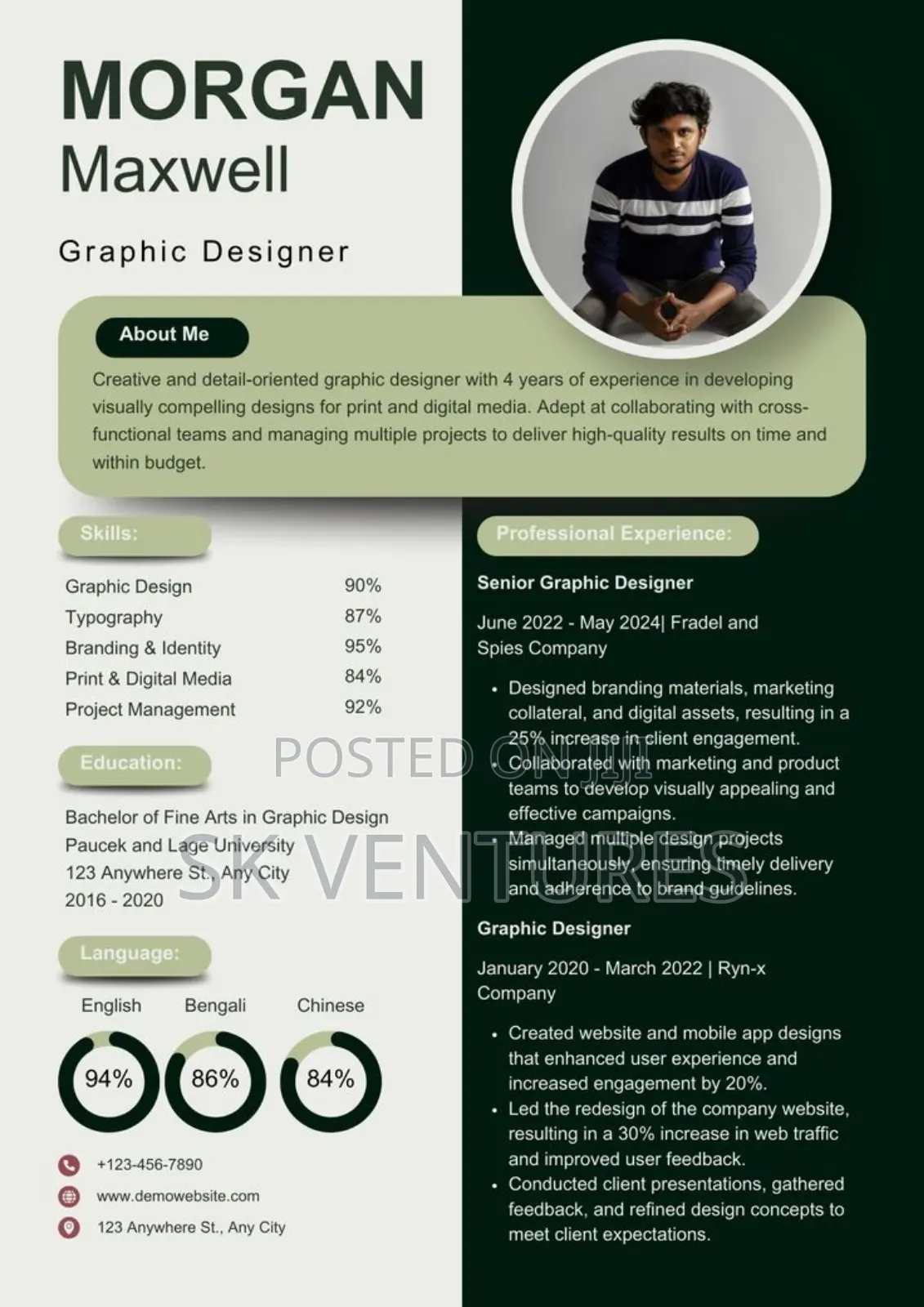 Professional Resume