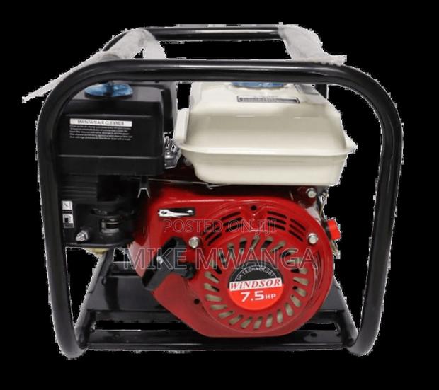 Windsor Gasoline Water Pump - main view