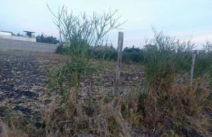 Plot for Sale in Ruai - thumbnail 2