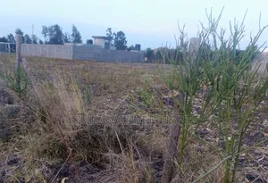 Plot for Sale in Ruai
