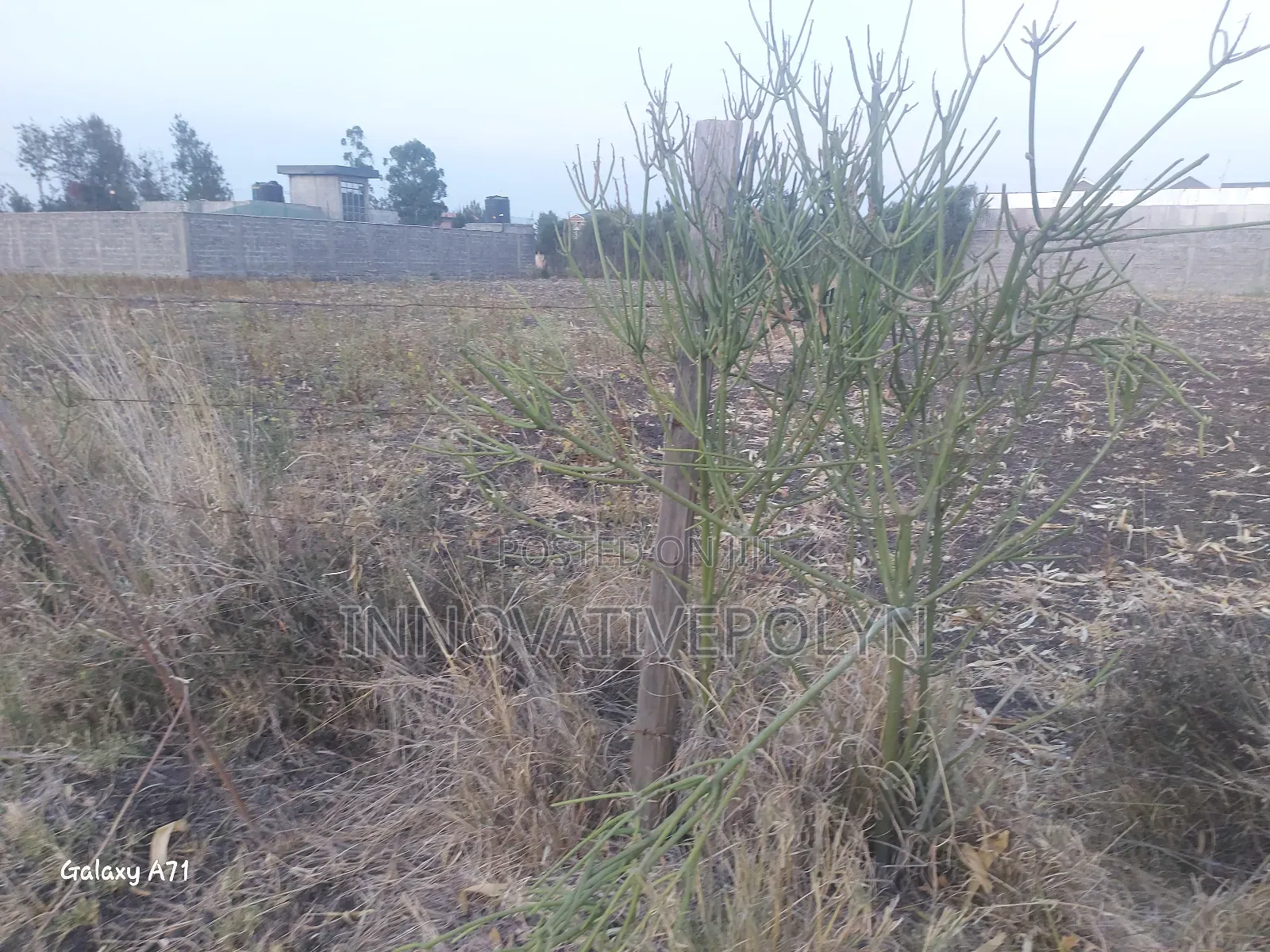 Plot for Sale in Ruai