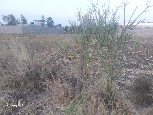 Plot for Sale in Ruai - thumbnail 4