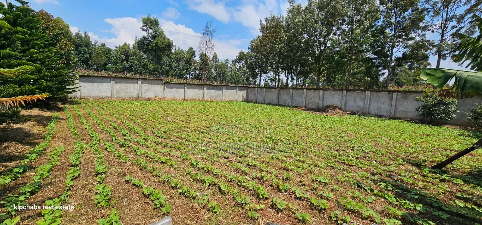 Commercial C1⁄4 Plot With Perimetre Wall for Sale Annex