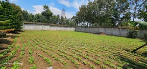 Commercial C1⁄4 Plot With Perimetre Wall for Sale Annex