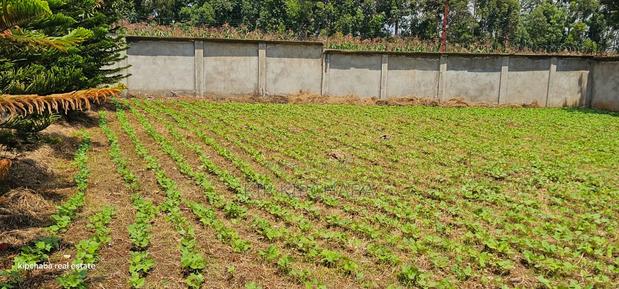 Commercial C1⁄4 Plot With Perimetre Wall for Sale Annex - thumbnail 5