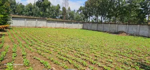 Commercial C1⁄4 Plot With Perimetre Wall for Sale Annex