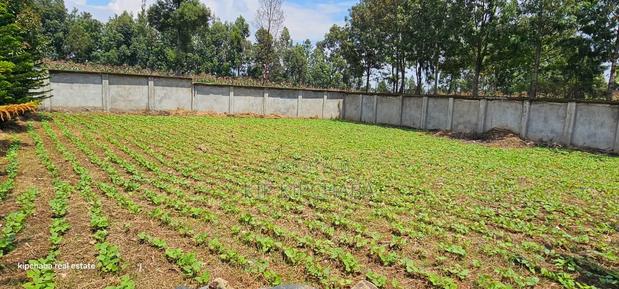 Commercial C1⁄4 Plot With Perimetre Wall for Sale Annex - thumbnail 6
