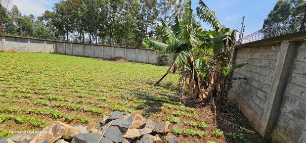 Commercial C1⁄4 Plot With Perimetre Wall for Sale Annex - thumbnail 7