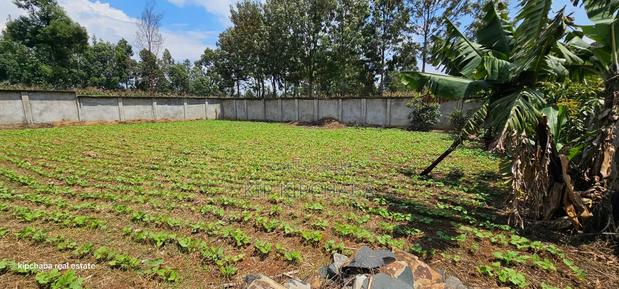 Commercial C1⁄4 Plot With Perimetre Wall for Sale Annex - thumbnail 8