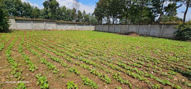 Commercial C1⁄4 Plot With Perimetre Wall for Sale Annex - thumbnail 10