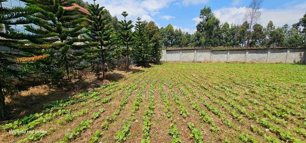 Commercial C1⁄4 Plot With Perimetre Wall for Sale Annex - thumbnail 11