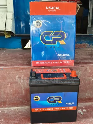 Cr Ns40al12v36ah Maintenance Free
