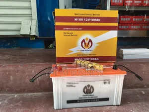 Power Energy N100 12v100a