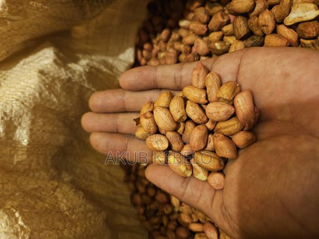 Groundnuts/Peanuts - main view