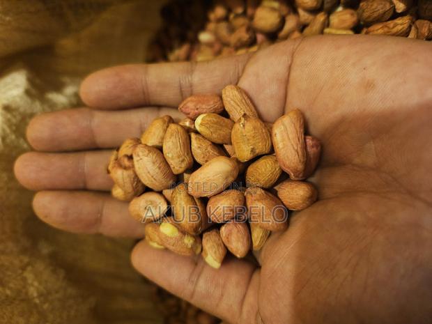 Groundnuts/Peanuts - thumbnail 3