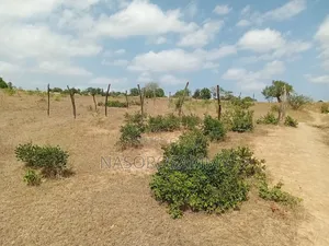50 By 100 L, Plots For Sale. Mariakani Kibanda Asara.