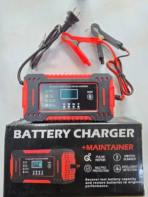 Battery Charger and Pulse Repairer 12v6a