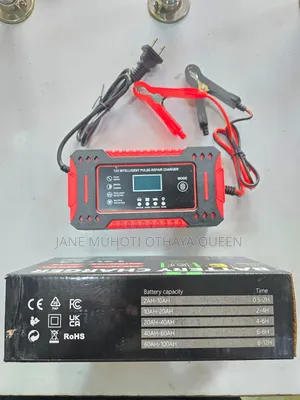 Battery Charger and Pulse Repairer 12v6a