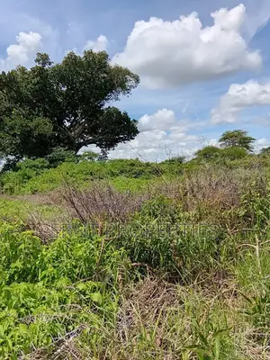 Prime 7 Acres of Fertile Land in Sultan Hamud -Ready for Farming!