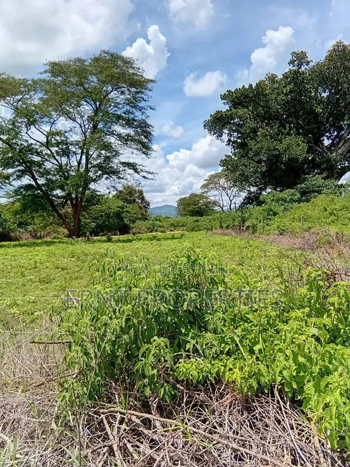 Prime 7 Acres of Fertile Land in Sultan Hamud -Ready for Farming!