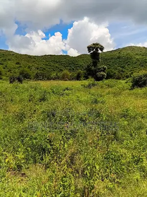 Prime 7 Acres of Fertile Land in Sultan Hamud -Ready for Farming!