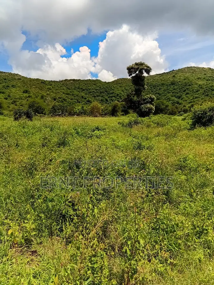 Prime 7 Acres of Fertile Land in Sultan Hamud -Ready for Farming!