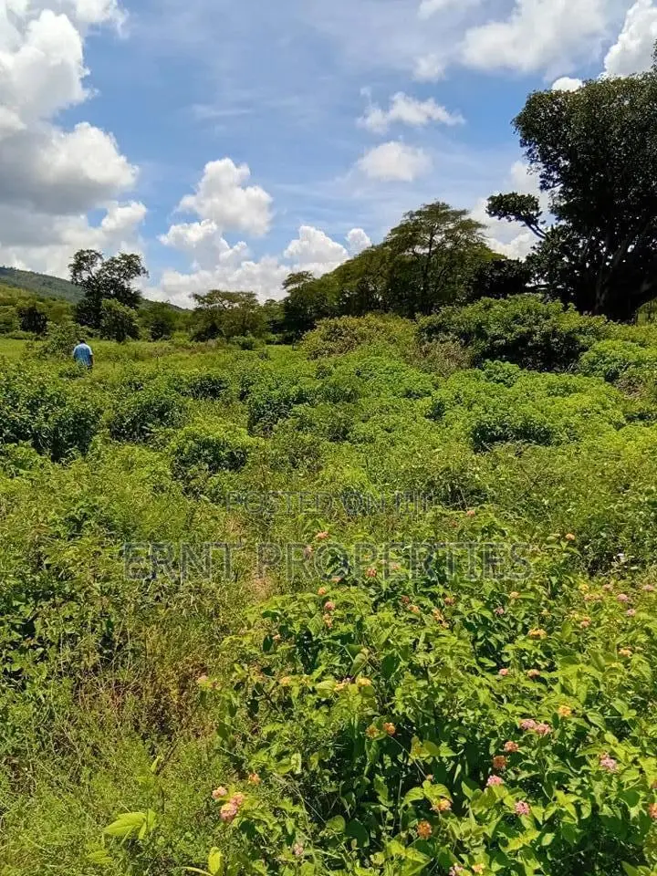 Prime 7 Acres of Fertile Land in Sultan Hamud -Ready for Farming!