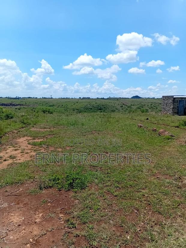 Scenic Katani Plots Overlooking Ngelani Valley - thumbnail 4