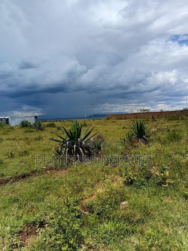 Scenic Katani Plots Overlooking Ngelani Valley - thumbnail 5