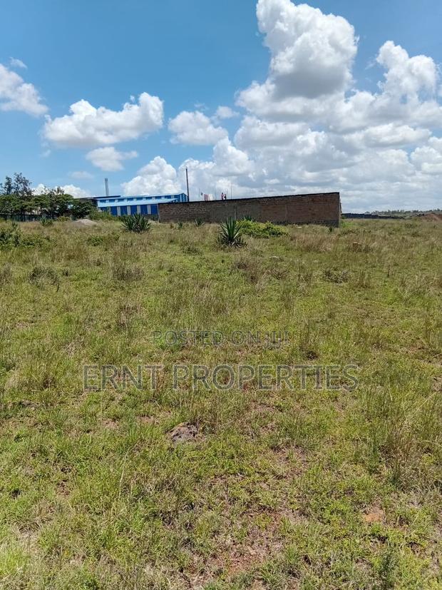 Scenic Katani Plots Overlooking Ngelani Valley - thumbnail 6