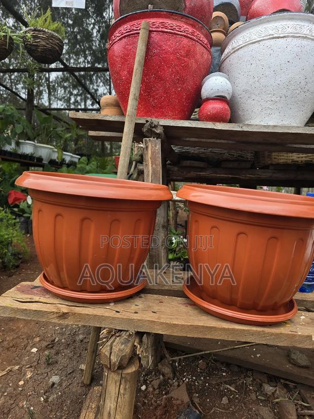 Plastic Flowerpots With a Plate - main view