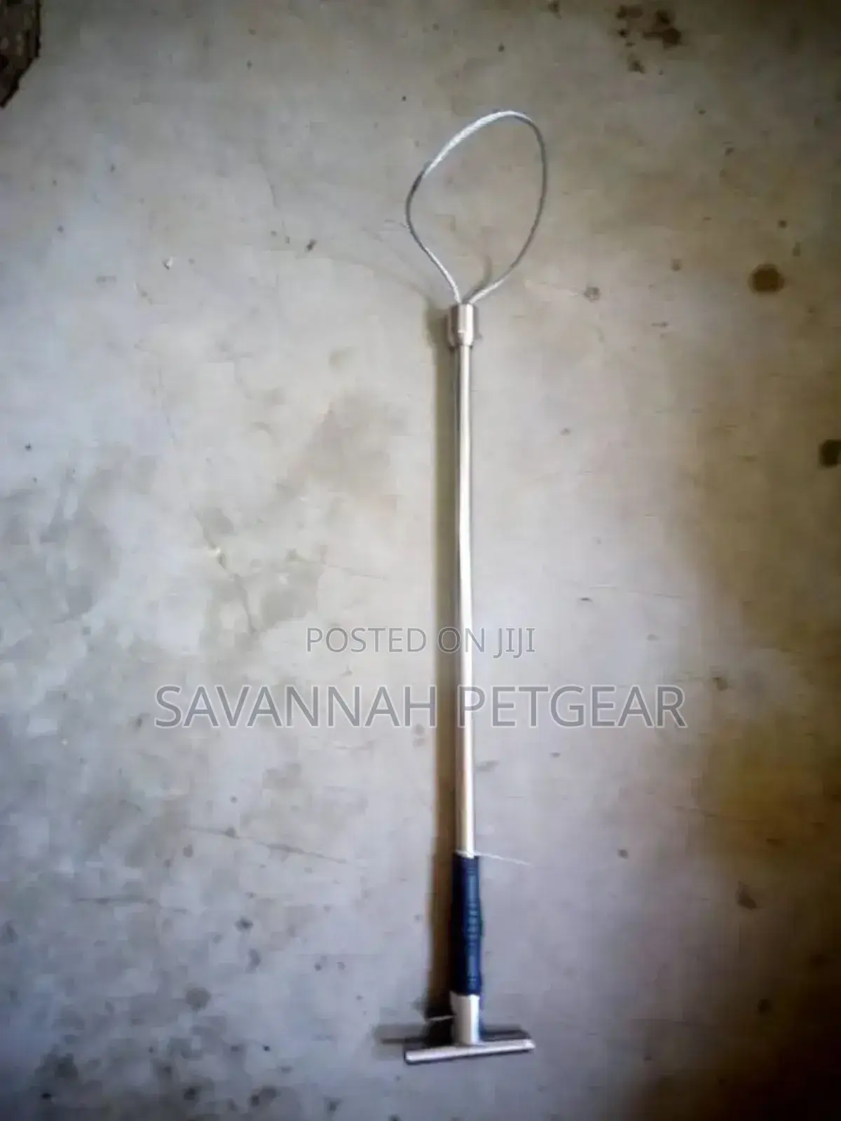 Snare,Used to Restrain Pigs and Stray Dogs for Vaccinations