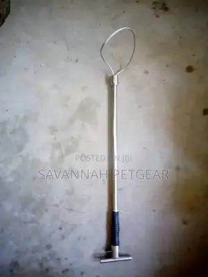 Snare,Used to Restrain Pigs and Stray Dogs for Vaccinations